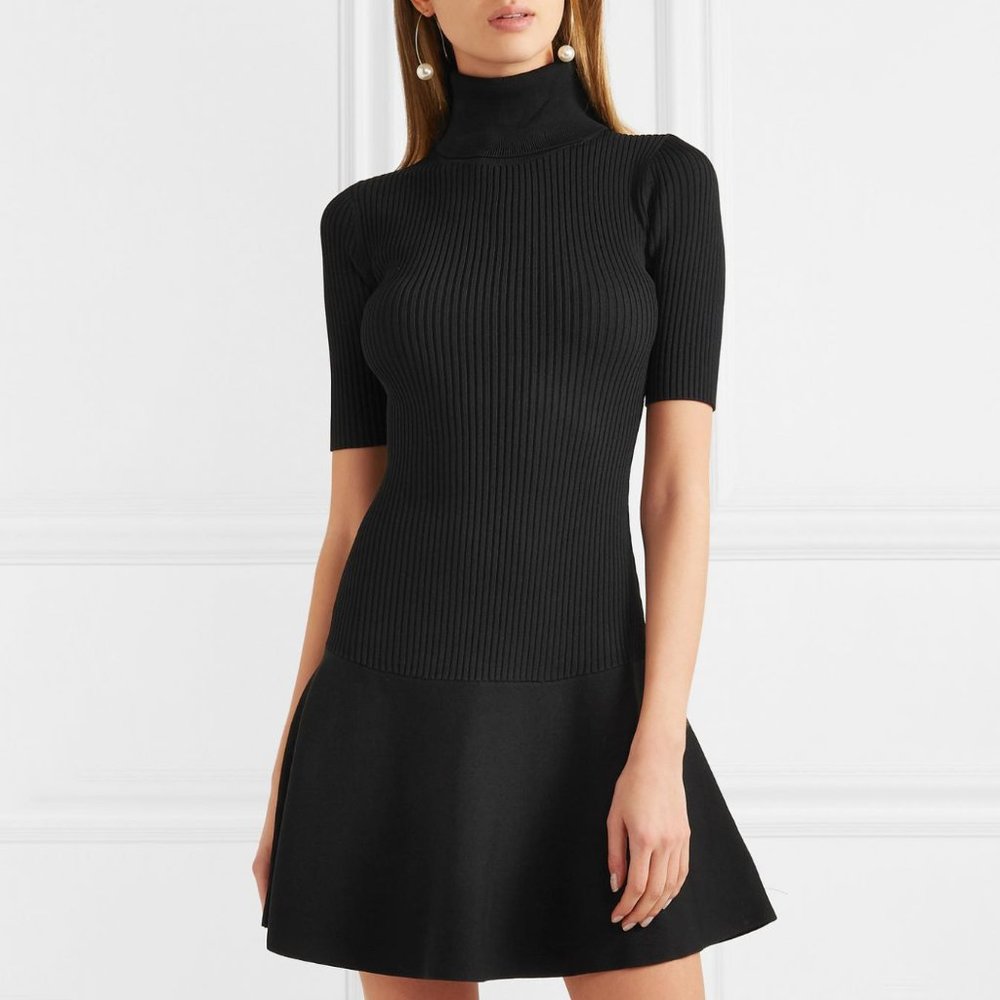 Fit & Flare Turtleneck Dress